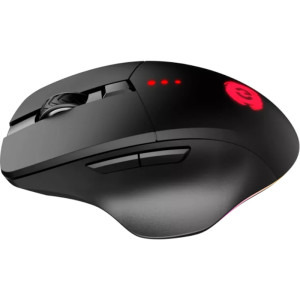 Canyon GMW-13 Black