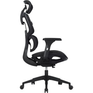 Canyon Ventra MOCH01 Black