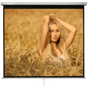 Ecran de proiectie Blackmount MN240 1:1 240 x 240 cm