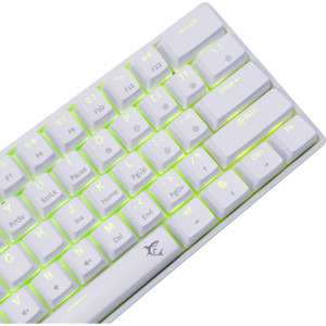 White Shark SHINOBI v2, RGB, BLUE OUTEMU Switch, Alb