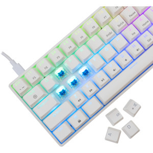 White Shark SHINOBI v2, RGB, BLUE OUTEMU Switch, Alb