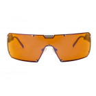 Gunnar Cyberpunk 2077 Dex Amber Max