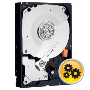 WD RE4 1TB SATA-II 7200 RPM 64MB