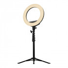 Accesoriu streamplify Lampa LED Circulara Ring Light 14 cu trepied 2 in 1
