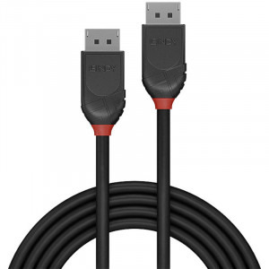 LINDY Black, DisplayPort Male - DisplayPort Male, v1.2, 1m, negru