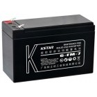 Accesoriu UPS Kstar Battery 6-FM-7