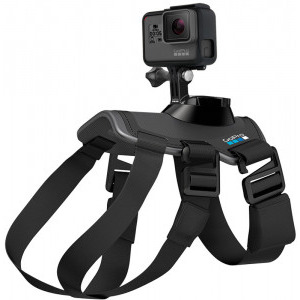 GoPro Fetch - Ham caine