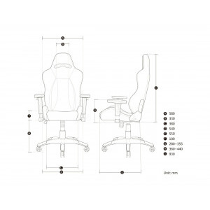 AKRACING Premium V2 Black