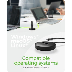 Icy Box IB-1610MCD-C31 DockingStation for NVMe & SATA M.2 USB-C Black