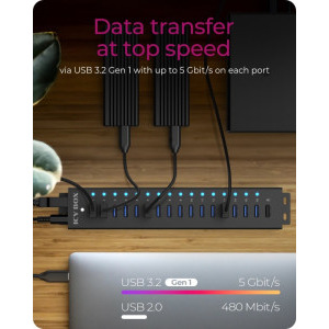 Icy Box IB-HUB1717-U3 17-port USB 3.2 Gen 1 Hub Black