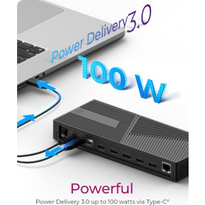 Icy Box Docking Station IB-DK2246AC, 100W Power Delivery, 3x 4K, Gigabit LAN