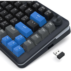 Redragon Cyrus Pro TKL RGB Black/Blue Linear Grey Switch Mecanica