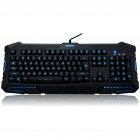 Newmen GL700