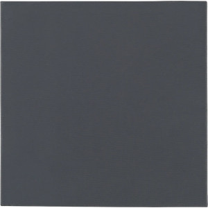 Thermal Grizzly Minus Pad Pro 100x100x2mm, Grey