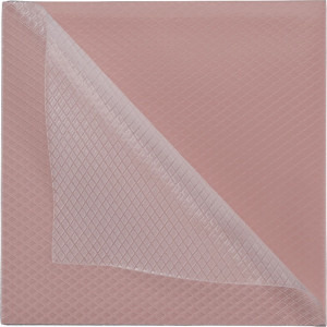 Thermal Grizzly Minus Pad 8 100x100x1mm, Pink, 2 buc