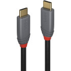 Cablu de date / adaptor LINDY USB Male la USB-C Male, 5m, Black