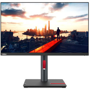 Lenovo ThinkVision P24h-30 23.8 inch QHD IPS 4 ms 60 Hz USB-C HDR