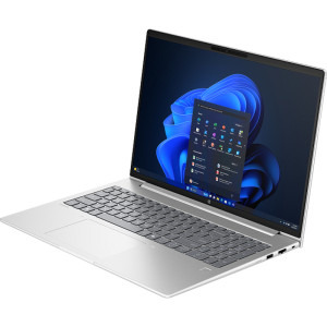 HP 16'' ProBook 4 G1a 16, WUXGA IPS, Procesor AMD Ryzen™ 7 250 (16M Cache, up to 5.10 GHz), 24GB DDR5, 512GB SSD, AMD Radeon 780M, Win 11 Pro, Silver