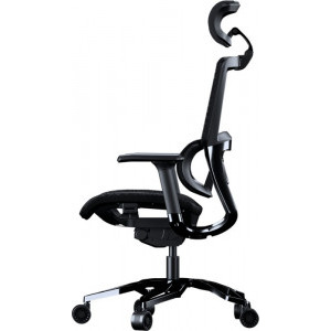 Cougar Argo Black